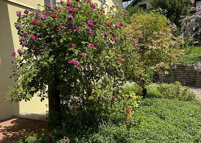 Appartement Meywohnen Bad Endorf